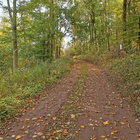 Albrecht Direkt Am Diemelsteig Apartament *
