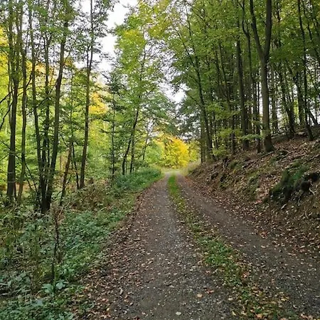 شقة Albrecht Direkt Am Diemelsteig