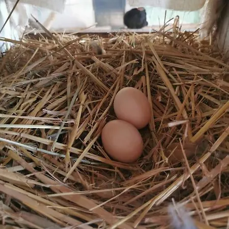 Apartament Albrecht Direkt Am Diemelsteig